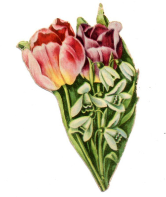 ILLERT / Romanttiset tulppaanit ja lumikellot. 1930-l.