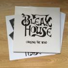 Bleak House - Chasing The Wind LP - pikkukuva 1