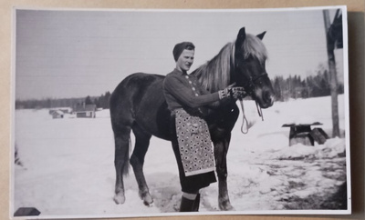 Sotahevonen on päässyt kotikonnuilleen mv vkpk 3.9.1944