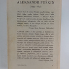 Aleksandr Puskin : Romaanit ja kertomukset - pikkukuva 2
