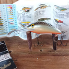 Salmo Hornet Floating SDR 4cm GS - pikkukuva 2