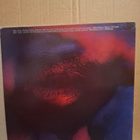 SARCOFAGO - Hate LP - Cogumelo 1994 - pikkukuva 3