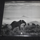 Elephant's Memory - Elephant's Memory LP 1972 - pikkukuva 2