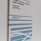 Anand Pillay ym. : Model Theory, Algebra, and Geometry - pikkukuva 1