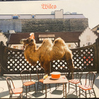 Wilco: (the album) (Nonesuch 2009) cd - pikkukuva 1