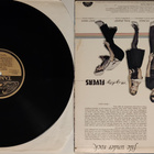 Mighty Flyers - File Under Rock  vinyyli lp - pikkukuva 2