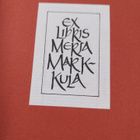 Doris Lessing : Avioliitot vyöhykkeiden välillä : (Kolman... - pikkukuva 3