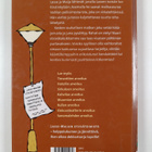 Martin Widmark : Junan arvoitus - pikkukuva 2