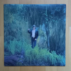 MATTHEW MELTON : Outside Of Paradise LP (Power Pop) - pikkukuva 1