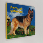 Parhaat ystäväni - pikkukuva 1
