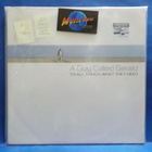 A GUY CALLED GERALD - TO ALL THINGS WHAT THE NEED M-/M- 2LP - pikkukuva 1