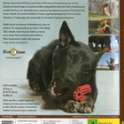 KOIRIEN HYVINVOINTI (16 596) -FI- DVD , koirien käytöskoulu - pikkukuva 2