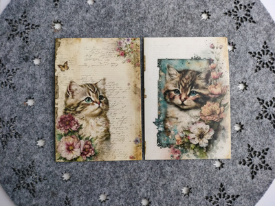 ~Kissa kortti~ 2kpl