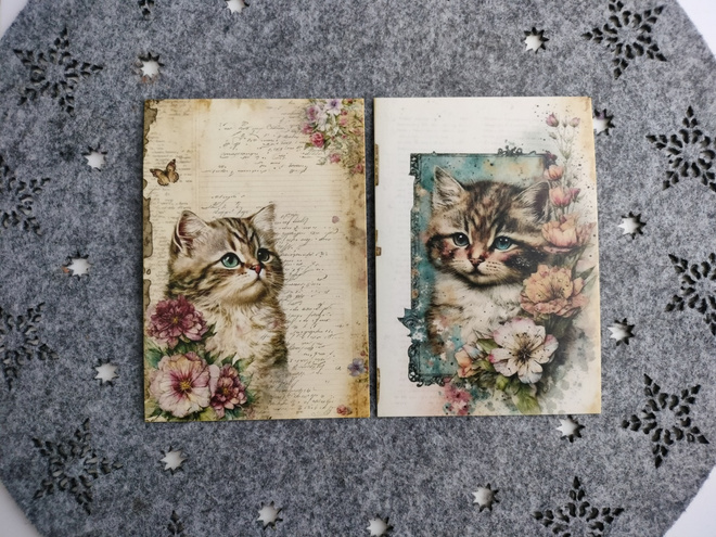 ~Kissa kortti~ 2kpl