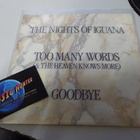 NIGHTS OF IGUANA - TOO MANY WORDS M-/M- 7'' SINGLE - pikkukuva 1