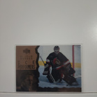 1996-97 Upper Deck Ice - Acetate #45 Damian Rhodes - pikkukuva 1