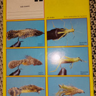 Urheilukalastus 2/1989 - pikkukuva 2
