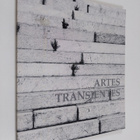 Artes transientes : kuvakooste ja 14 kirjoitusta - pikkukuva 1
