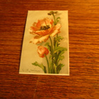 carte postale 1919 pk pääsiäis - kukat kulkenut vanhakoko - pikkukuva 1
