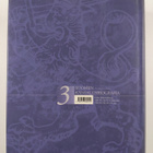 Suomen kansallisbiografia 3 : Forsblom-Hirn - pikkukuva 2