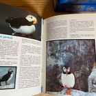 Merten salaisuudet lehtiä v.1976 - pikkukuva 5