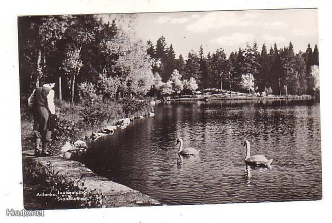 HÄMEENLINNA/AULANKO Poika  ja kaksi joutsenta (A.Ohlsson)