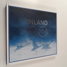 Finland : 100 Years of Success - pikkukuva 1