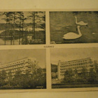 Hämeenlinna, Aulanko, mv nelikuvakortti, ei p. - pikkukuva 1