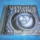 LEEVI AND THE LEAVINGS :  HOPEAHÄÄPÄIVÄ    -    CD - pikkukuva 1