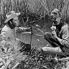 Showdown	(60 131)	UUSI	-DE-	BLU-RAY	digiback,		audie murphy - pikkukuva 3