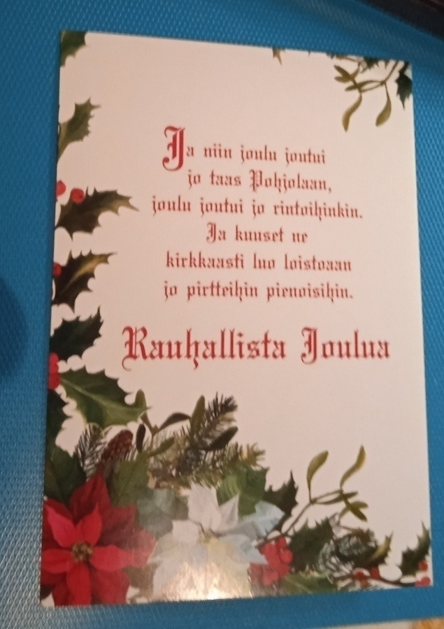 NO 1 JA NIIN JOULU JOUTUI JO TAAAS ...