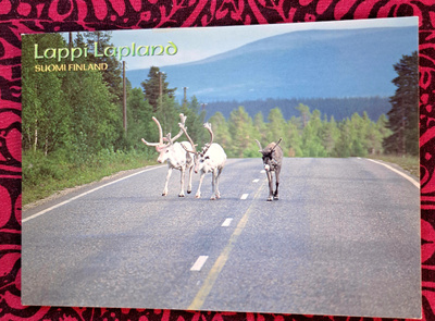 Poroja, Kaunispää-leima, kulkenut 2003