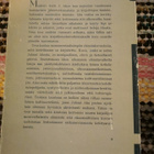Juhani Aho tekijä Antti J. Aho - pikkukuva 3