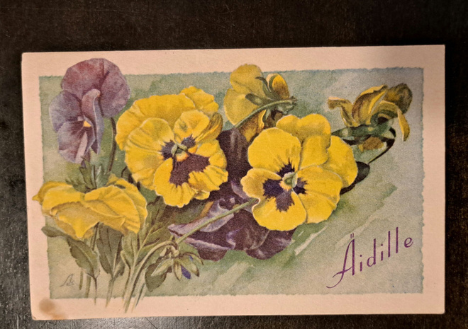 Kukkia,orvokit, sign Ao, kulkenut 1943