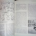 Maltin:Of Mice and Magic-A History of American Animated... - pikkukuva 4