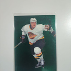 1995-96 Parkhurst International Emerald Ice #248 Pavel Bure - pikkukuva 1