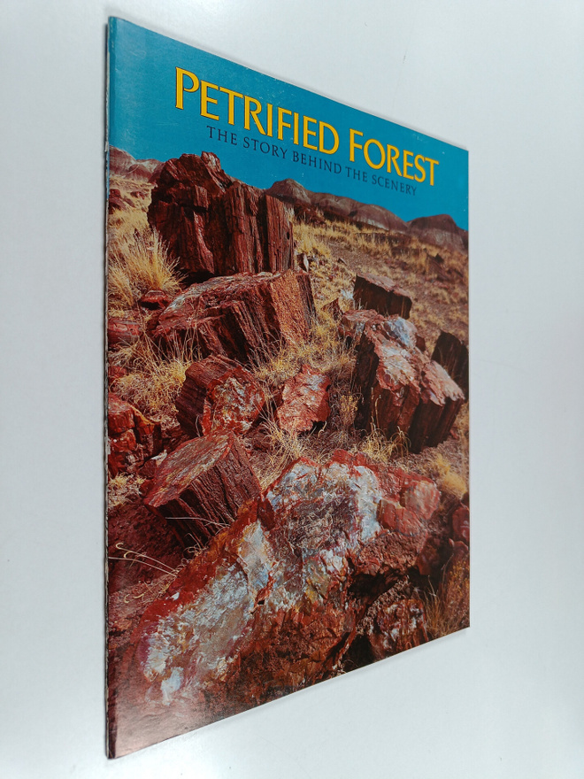Sidney Ash : Petrified Forest : the story behind the scenery