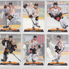 2017-18 Cardset Series 1 KooKoo Team Set 12 korttia (73-84) - pikkukuva 2