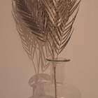 Kultainen muovioksa 70 cm - pikkukuva 1