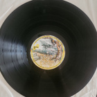 Ray Stevens - Boogity Boogity Lp (M-/M-) - pikkukuva 3