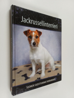 Jackrussellinterrieri