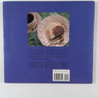 Sara Perry ym. : The Complete Coffee Book - A Gourmet Gui... - pikkukuva 2