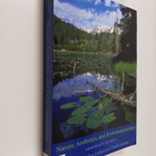 Allen Carlson : Nature, aesthetics, and environmentalism ... - pikkukuva 1