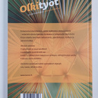Eevi Linden : Olkityöt : 50 perinteistä ja uutta koristetta - pikkukuva 2