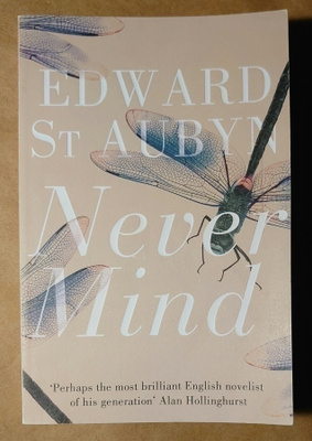 Edward St Aubyn - Never Mind