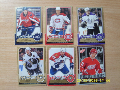 Jääkiekkokortti NHL 2008-09