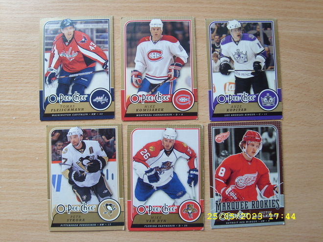 Jääkiekkokortti NHL 2008-09