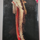 Richard H. Dillon : North American Indian Wars - pikkukuva 2