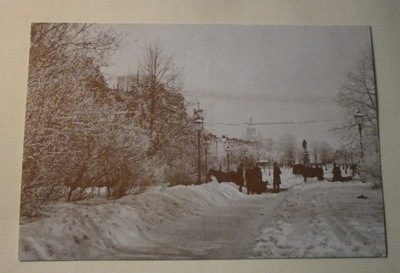 Helsinki, Esplanadi talvi 1906, hevosia ja väkeä, ei p.