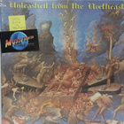 V/A - UNLEASHD FROM THE NORTHEAST - UUSI LP - pikkukuva 1